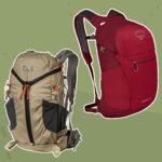 Osprey Packs Daylite Hiking Backpack (1)